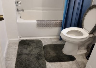 Professional Residential Cleaning